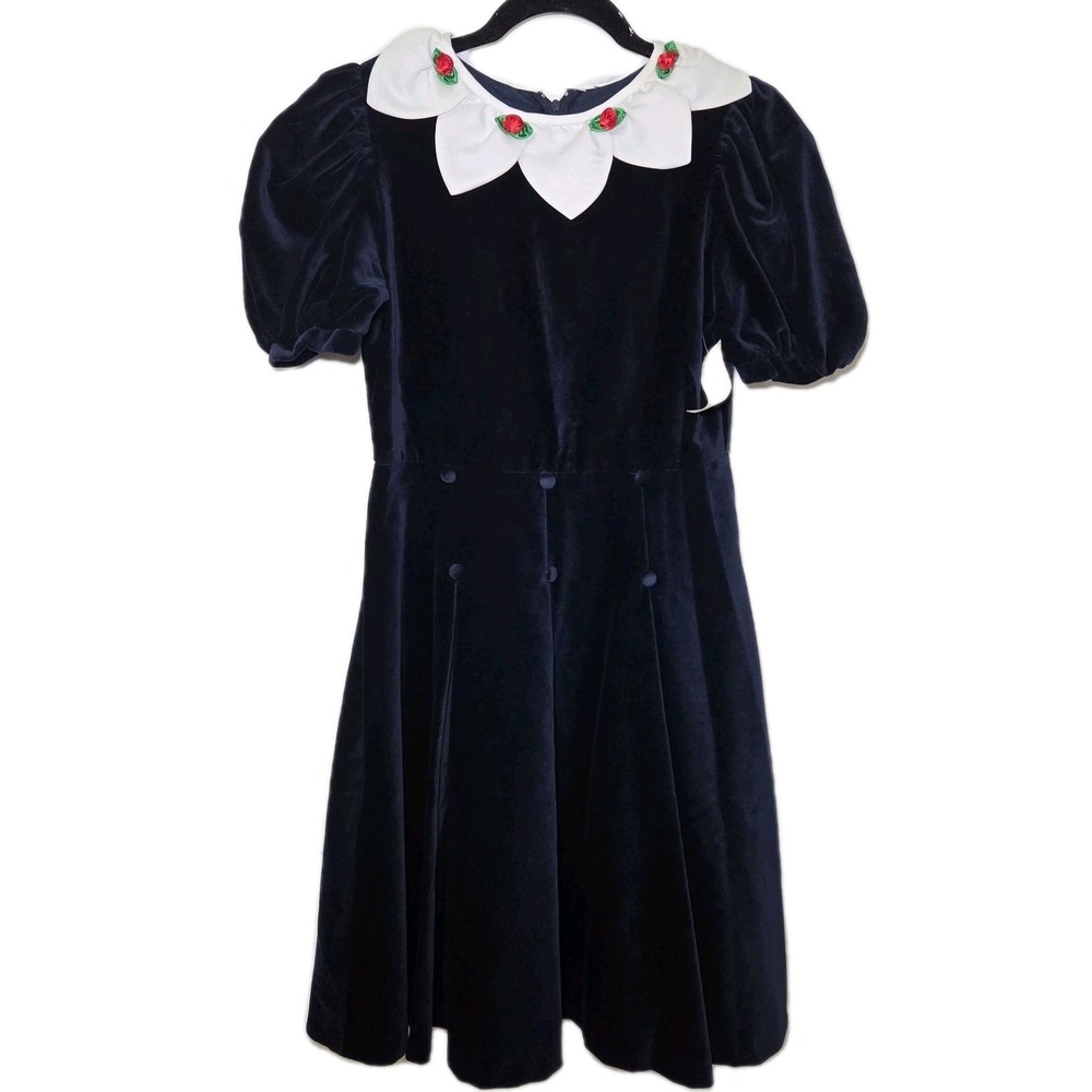 Vintage Girls Velvet Christmas Dress Navy White Collar Roses‎ Party